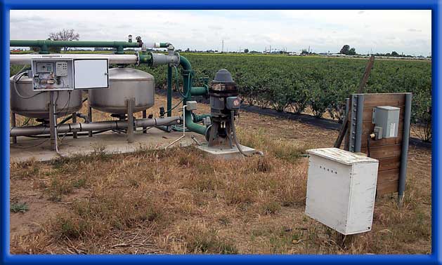 AC Ag Well Water - Drip Irrigation - Blueberries
