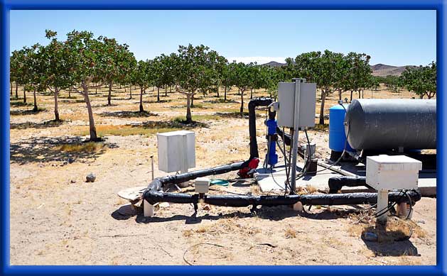 AC Fresh Water and Ag Unit - Young Pistachios - Mojave Desert