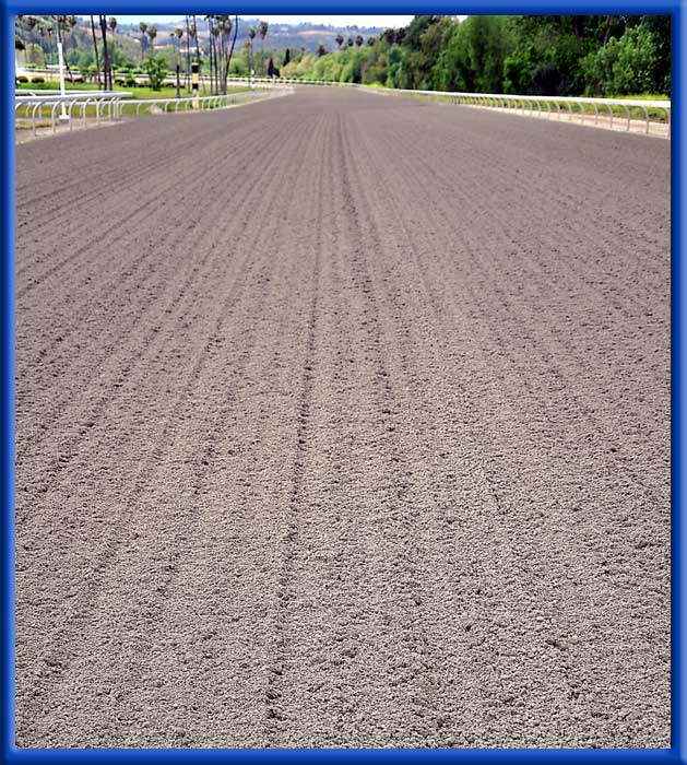 Before Treatment, Soil Hard, Clumpy and Large Clods - After Treatment, Fine Soil, Water retention - Jockey's very happy