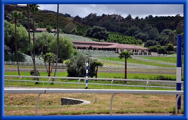 Water Changers Treating Avocados, Citrus, and Horse Facilities - Bonsall, Ca.