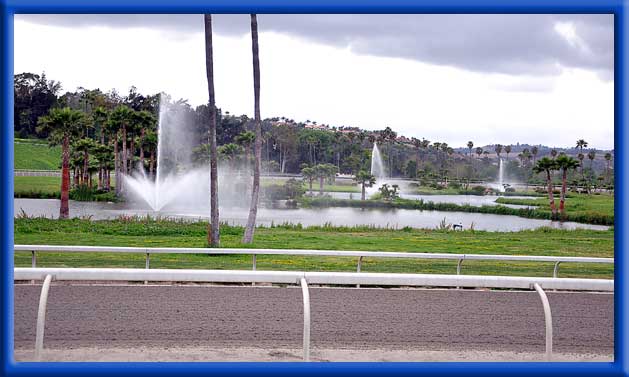 Fountains, Ponds, and Landscape Treated - Bonsall, Ca.