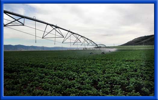 UNIFORMITY ACROSS ENTIRE FIELD - CLEAN PIPES AND SPRINKLERS ROW CROPS AND VEGETABLES