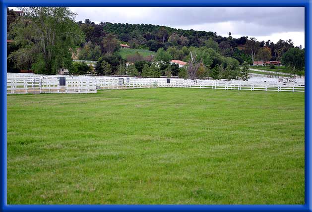 Treating Horse Grounds, Orchards, Landscaping - Bonsall, Ca.