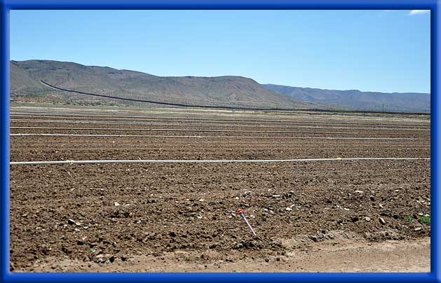 Vegetables - Sprinklers - California/Mexican Border