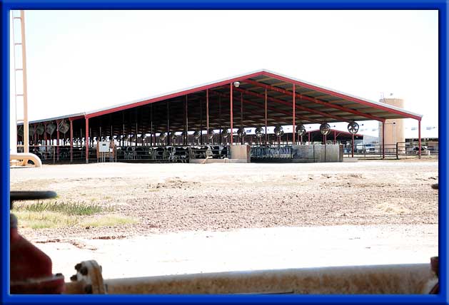 Water Changers Treated Fresh Water and Cooling Mist System - Dairy -