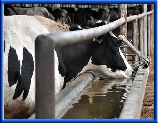 - Clean and good tasting drinking water
