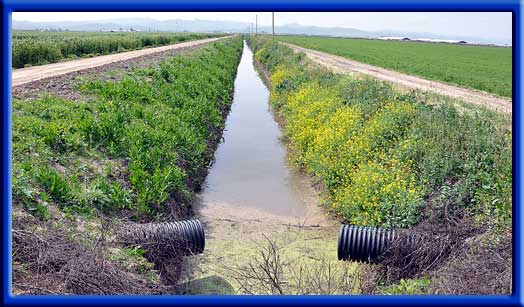 - Tile line waste water