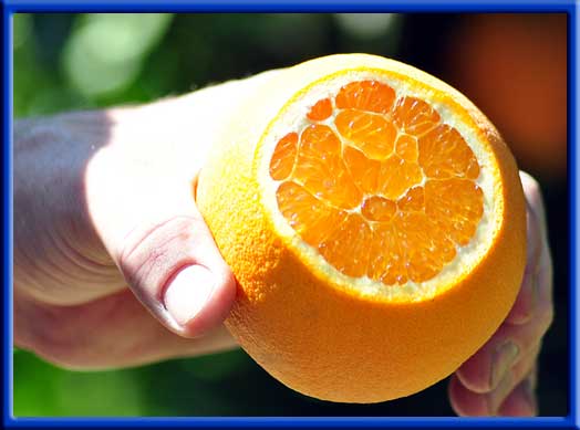 Orange - Increased sugar levels