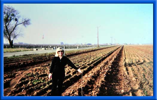 VINES REMOVED - ALMOND TREES PLANTED - NO FUMIGATION