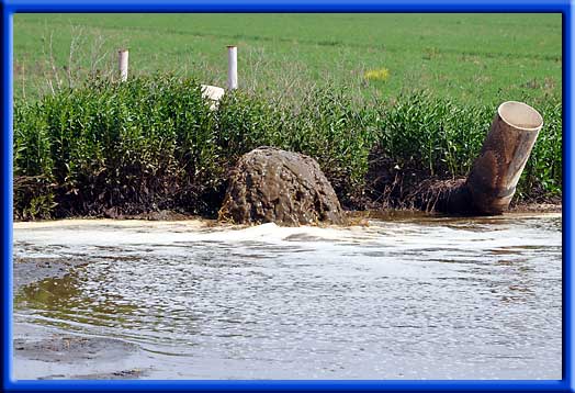 Treated dairy lagoon water - Increased oxygen levels reduced odors