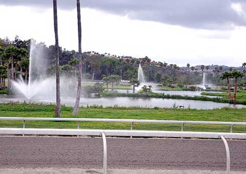 centerimage1